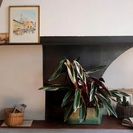 Living Santa Maria Novella - In The Heart Of Apartment *